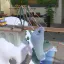 Screen