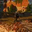 Screen
