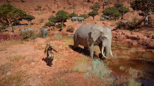 On rencontre vraiment tout un tas d'animaux !